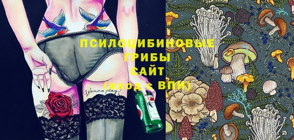 spice Бугульма