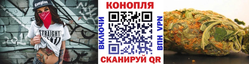 Бошки марихуана White Widow  где купить наркотик  Весьегонск 